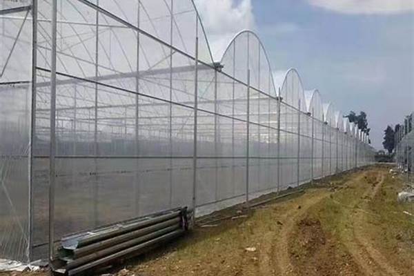 6分大棚鋼管多少錢一噸_6分大棚鋼管多少錢一噸多少根