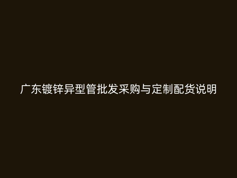 廣東鍍鋅異型管批發(fā)采購與定制配貨說明