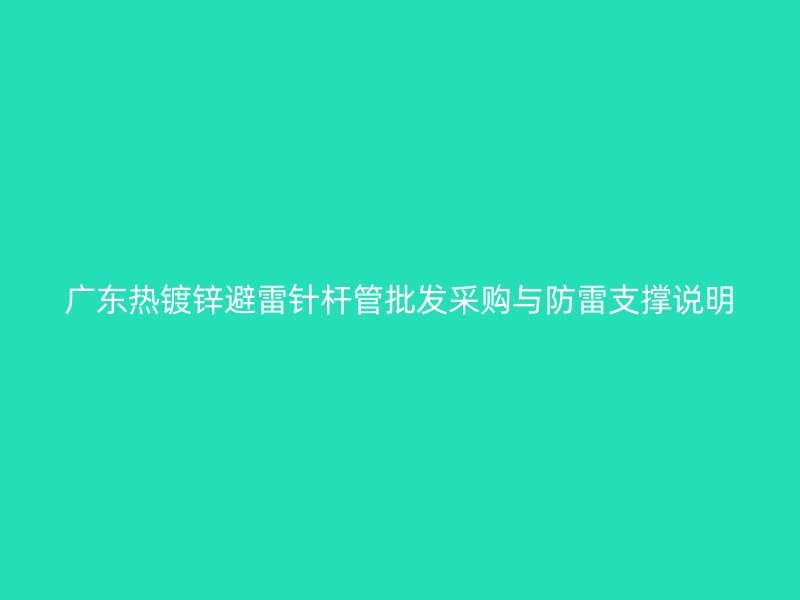 廣東熱鍍鋅避雷針桿管批發采購與防雷支撐說明